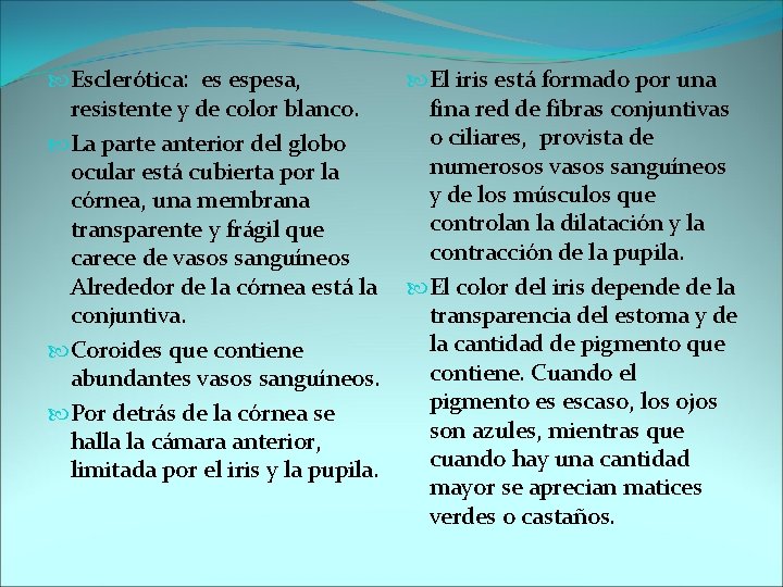  Esclerótica: es espesa, resistente y de color blanco. La parte anterior del globo