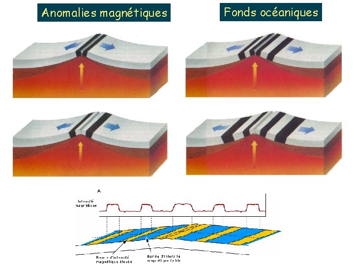 Anomalies magnétiques Fonds océaniques 