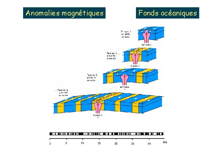 Anomalies magnétiques Fonds océaniques 