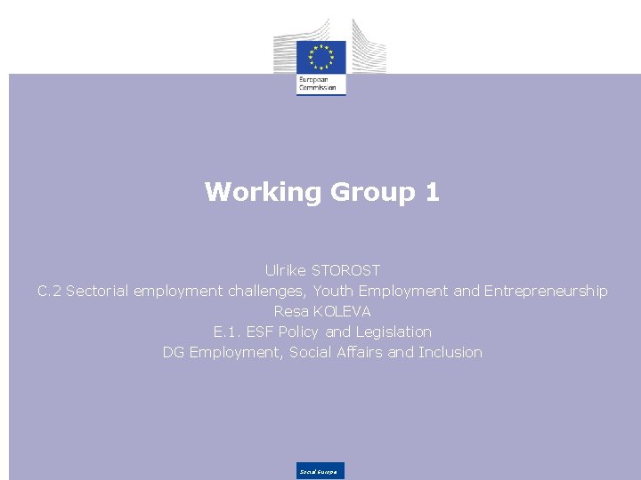 Working Group 1 Ulrike STOROST C. 2 Sectorial employment challenges, Youth Employment and Entrepreneurship