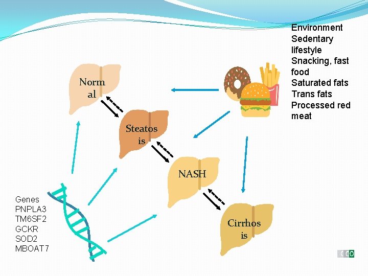 Environment Sedentary lifestyle Snacking, fast food Saturated fats Trans fats Processed red meat Norm