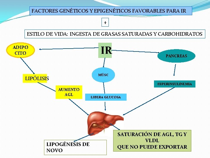 FACTORES GENÉTICOS Y EPIGENÉTICOS FAVORABLES PARA IR + ESTILO DE VIDA: INGESTA DE GRASAS