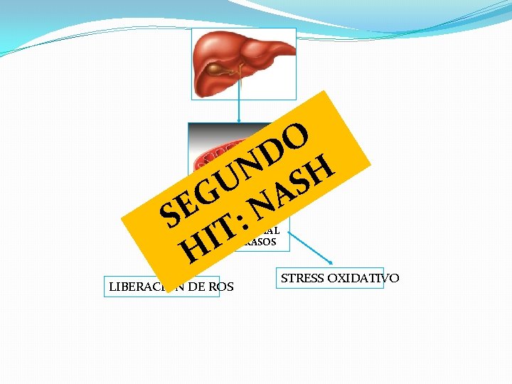 O D N H U S A G SE T: N I H ALTERADA