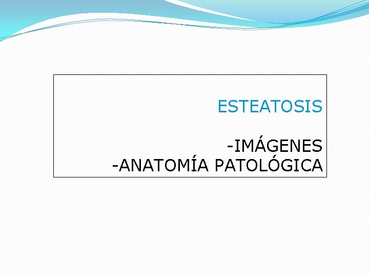 ESTEATOSIS -IMÁGENES -ANATOMÍA PATOLÓGICA 