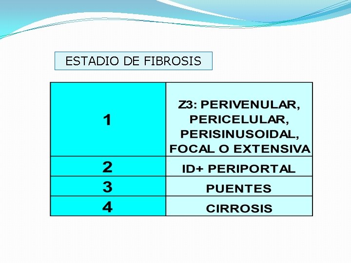 ESTADIO DE FIBROSIS 