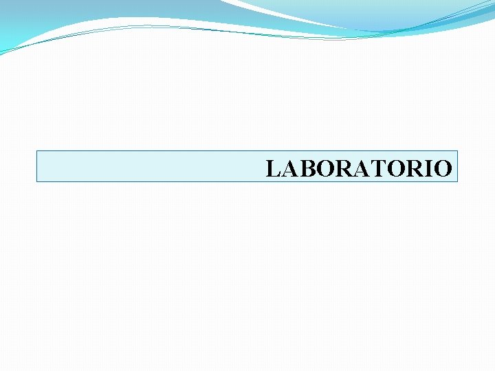 LABORATORIO 