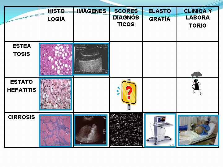 HISTO LOGÍA ESTEA TOSIS ESTATO HEPATITIS CIRROSIS IMÁGENES SCORES DIAGNÓS TICOS ELASTO GRAFÍA CLÍNICA