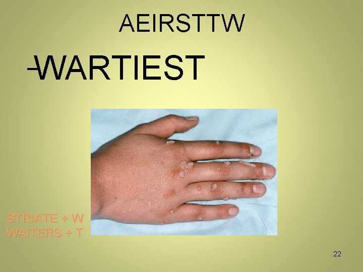 AEIRSTTW WARTIEST _ STRIATE + W WAITERS + T 22 