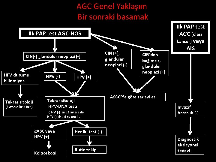 AGC Genel Yaklaşım Bir sonraki basamak İlk PAP test AGC-NOS CIN(-) glandüler neoplazi (-)