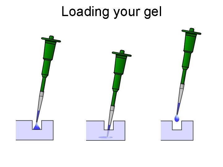 Loading your gel 