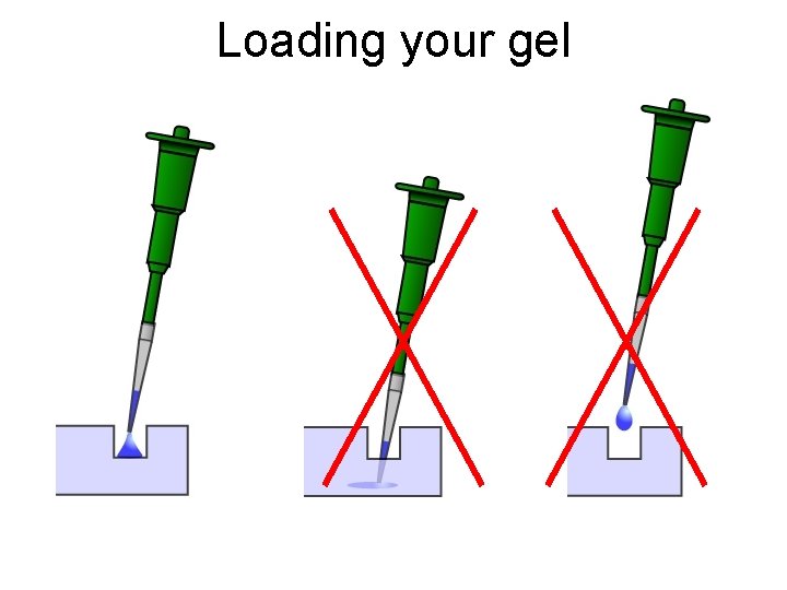 Loading your gel 