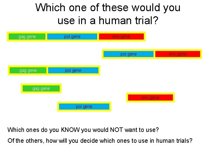 Which one of these would you use in a human trial? gag gene pol