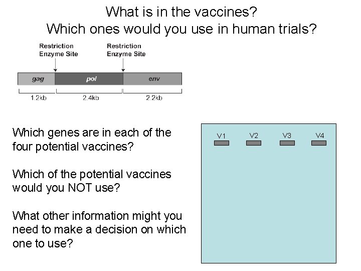 What is in the vaccines? Which ones would you use in human trials? Which