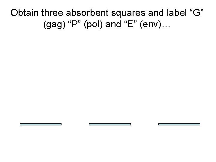 Obtain three absorbent squares and label “G” (gag) “P” (pol) and “E” (env)… 