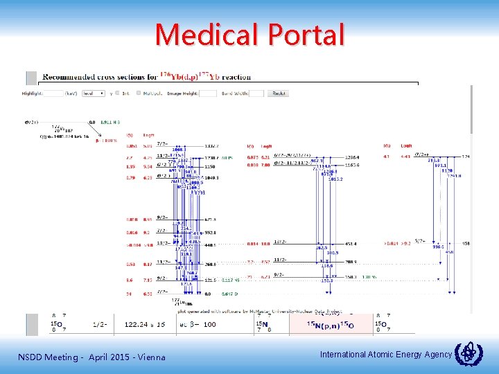 Medical Portal NSDD Meeting - April 2015 - Vienna International Atomic Energy Agency 