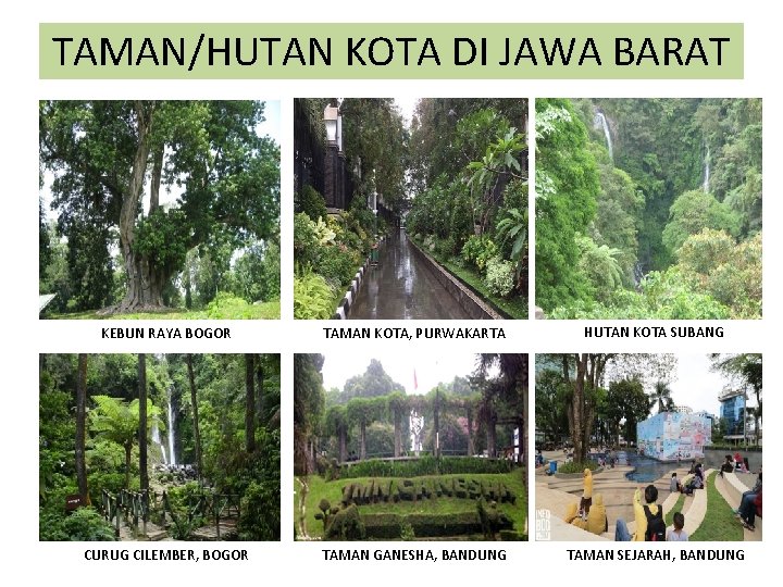 TAMAN/HUTAN KOTA DI JAWA BARAT KEBUN RAYA BOGOR TAMAN KOTA, PURWAKARTA HUTAN KOTA SUBANG