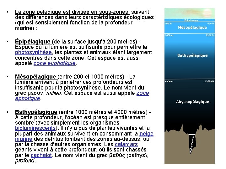  • La zone pélagique est divisée en sous-zones, suivant des différences dans leurs