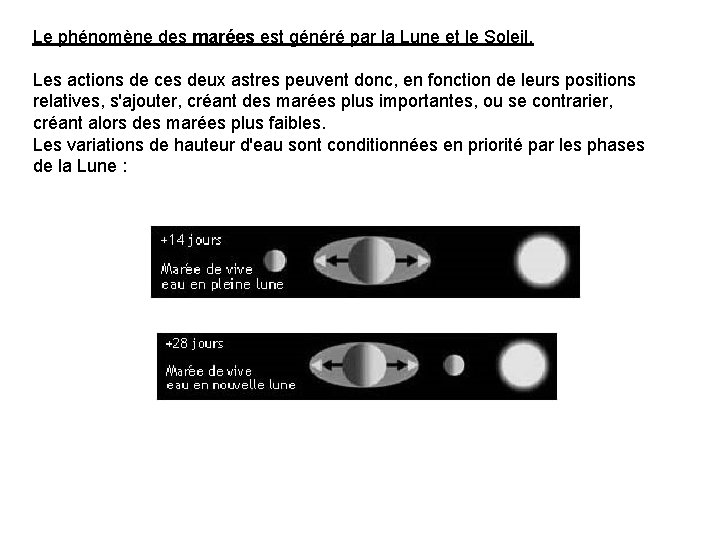 Le phénomène des marées est généré par la Lune et le Soleil. Les actions