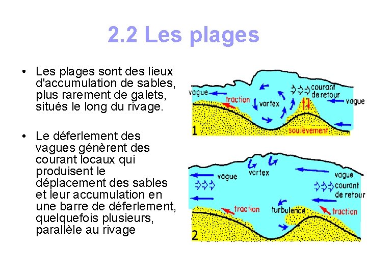 2. 2 Les plages • Les plages sont des lieux d'accumulation de sables, plus