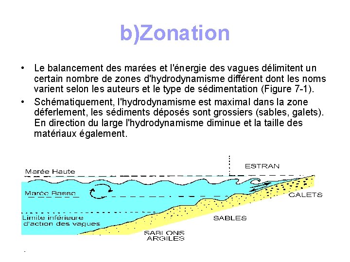 b)Zonation • Le balancement des marées et l'énergie des vagues délimitent un certain nombre