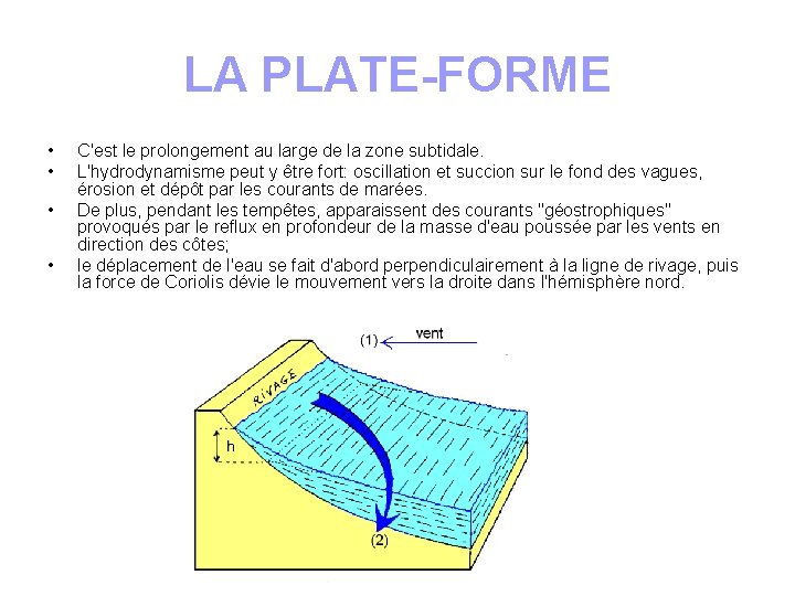 LA PLATE-FORME • • C'est le prolongement au large de la zone subtidale. L'hydrodynamisme