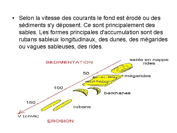  • Selon la vitesse des courants le fond est érodé ou des sédiments