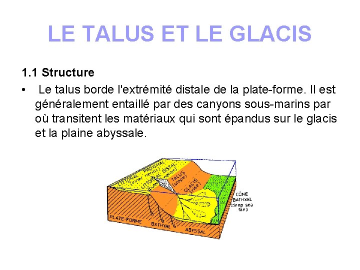 LE TALUS ET LE GLACIS 1. 1 Structure • Le talus borde l'extrémité distale