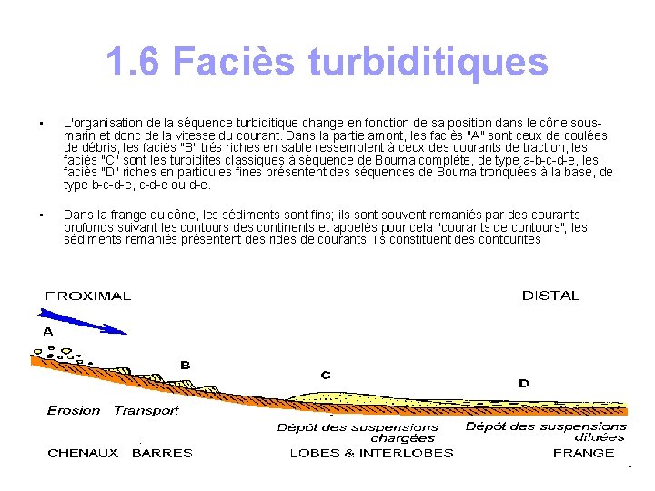 1. 6 Faciès turbiditiques • L'organisation de la séquence turbiditique change en fonction de