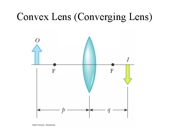 Convex Lens (Converging Lens) F F 