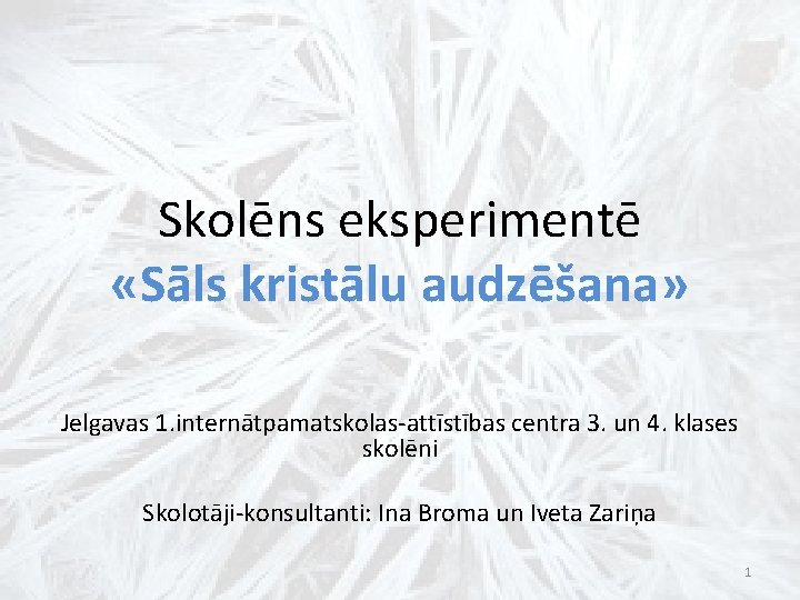 Skolēns eksperimentē «Sāls kristālu audzēšana» Jelgavas 1. internātpamatskolas-attīstības centra 3. un 4. klases skolēni