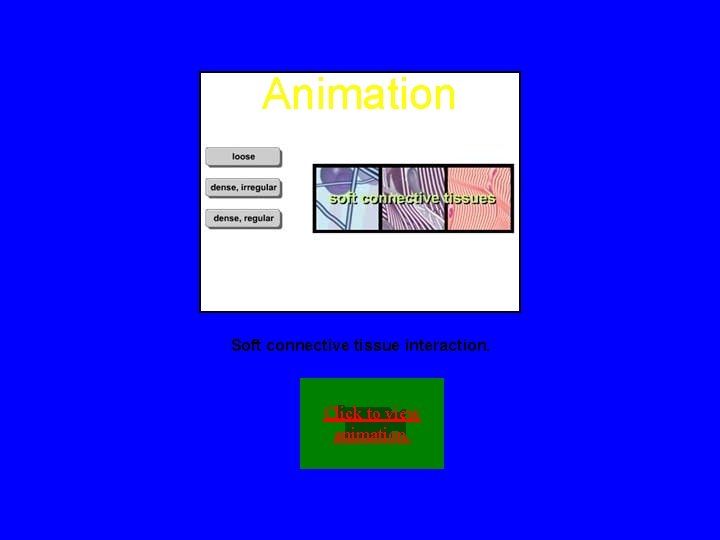 Animation Soft connective tissue interaction. Click to view animation. 