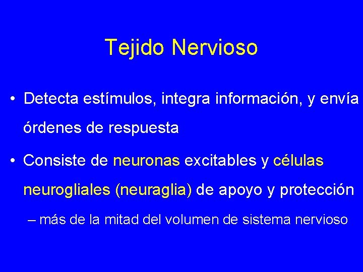 Tejido Nervioso • Detecta estímulos, integra información, y envía órdenes de respuesta • Consiste