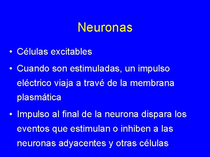 Neuronas • Células excitables • Cuando son estimuladas, un impulso eléctrico viaja a travé