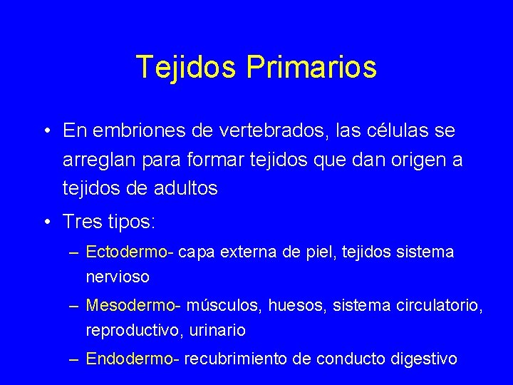 Tejidos Primarios • En embriones de vertebrados, las células se arreglan para formar tejidos