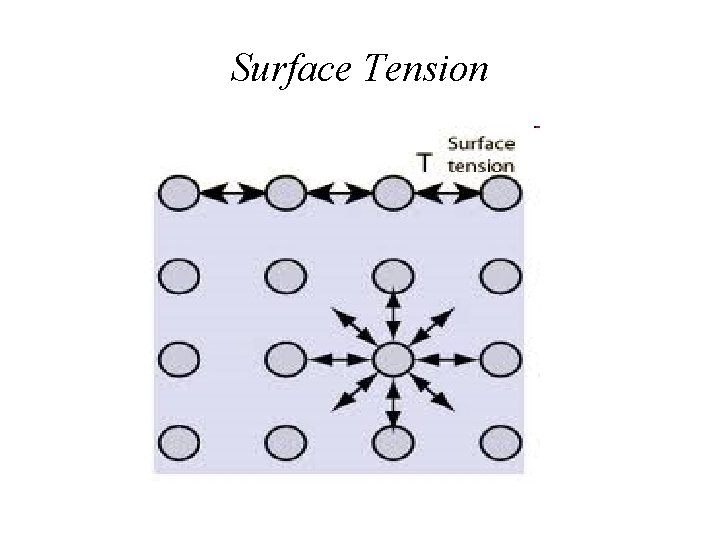 Surface Tension 