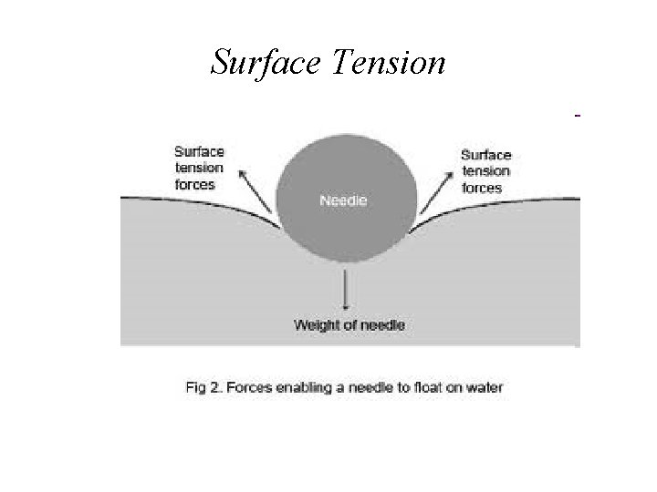 Surface Tension 