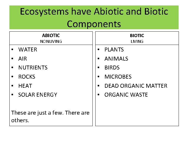 Ecosystems have Abiotic and Biotic Components ABIOTIC NONLIVING • • • WATER AIR NUTRIENTS