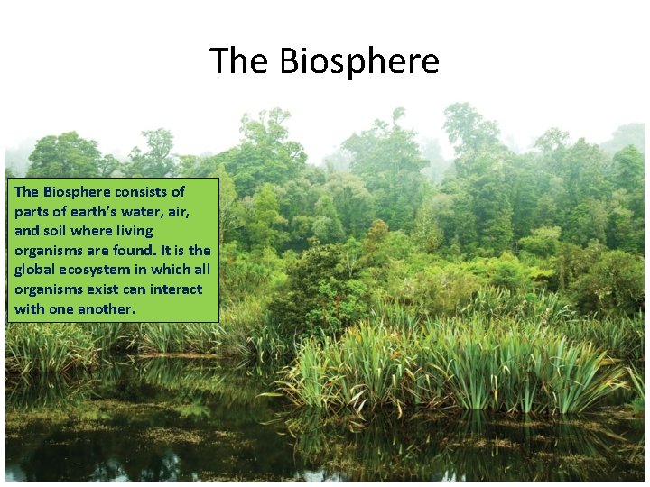 The Biosphere consists of parts of earth’s water, air, and soil where living organisms
