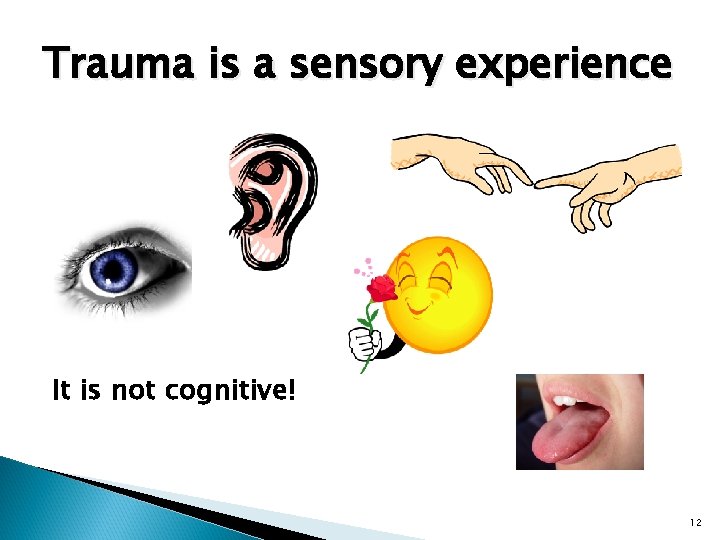 Trauma is a sensory experience It is not cognitive! 12 