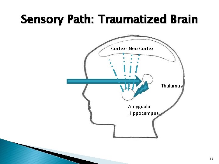 Sensory Path: Traumatized Brain Cortex- Neo Cortex Thalamus Amygdala Hippocampus 13 