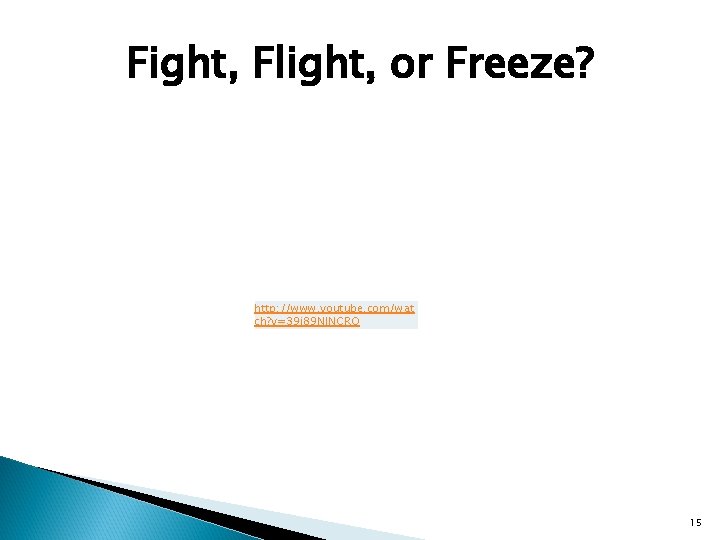 Fight, Flight, or Freeze? http: //www. youtube. com/wat ch? v=39 i 89 NJNCRQ 15