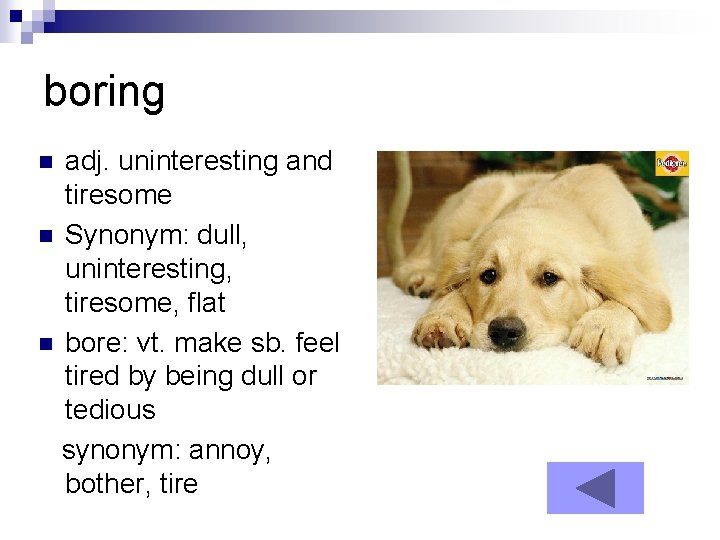 boring adj. uninteresting and tiresome n Synonym: dull, uninteresting, tiresome, flat n bore: vt.