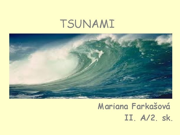 TSUNAMI Mariana Farkašová II. A/2. sk. 