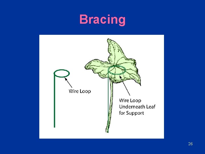 Bracing 26 