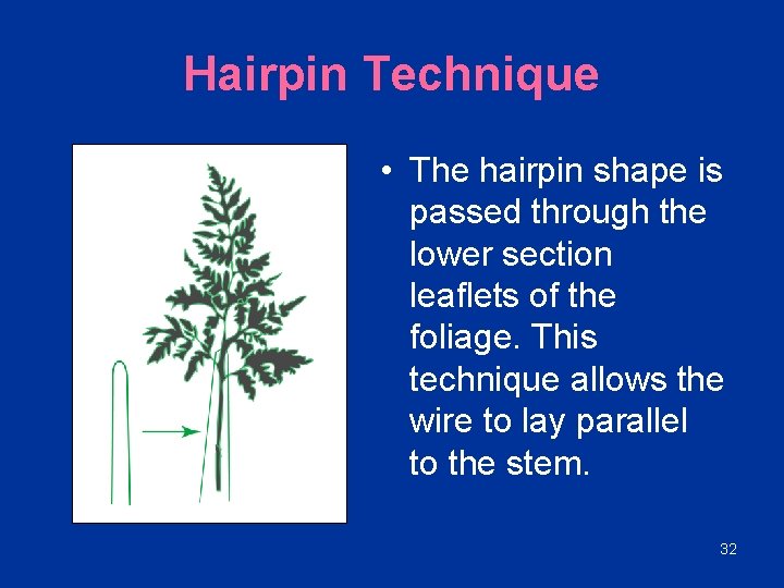 Hairpin Technique • The hairpin shape is passed through the lower section leaflets of