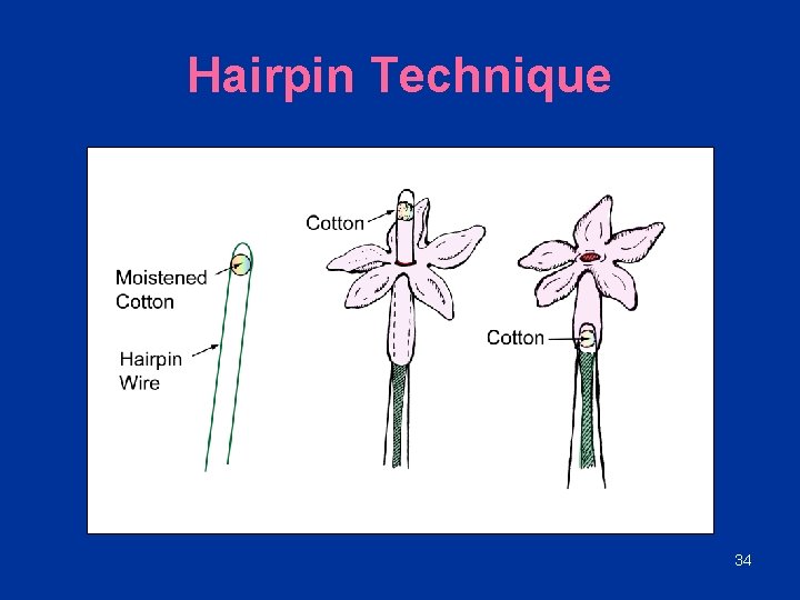 Hairpin Technique 34 