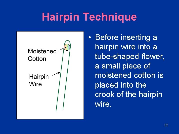 Hairpin Technique • Before inserting a hairpin wire into a tube-shaped flower, a small