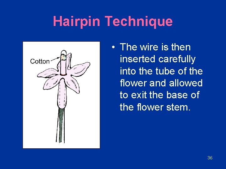 Hairpin Technique • The wire is then inserted carefully into the tube of the