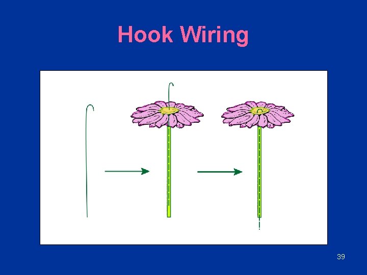 Hook Wiring 39 