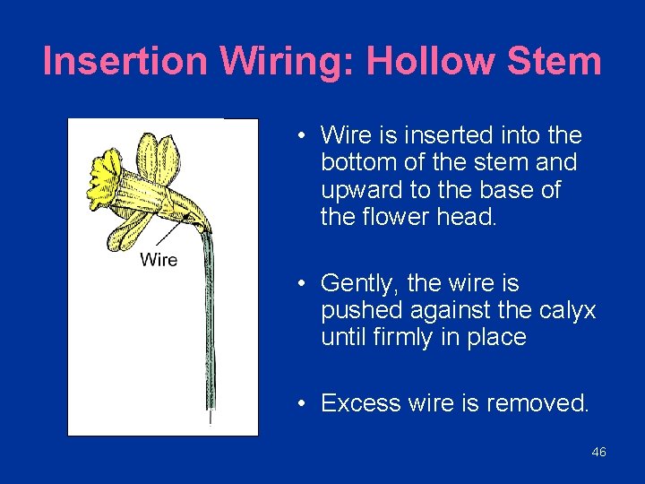 Insertion Wiring: Hollow Stem • Wire is inserted into the bottom of the stem